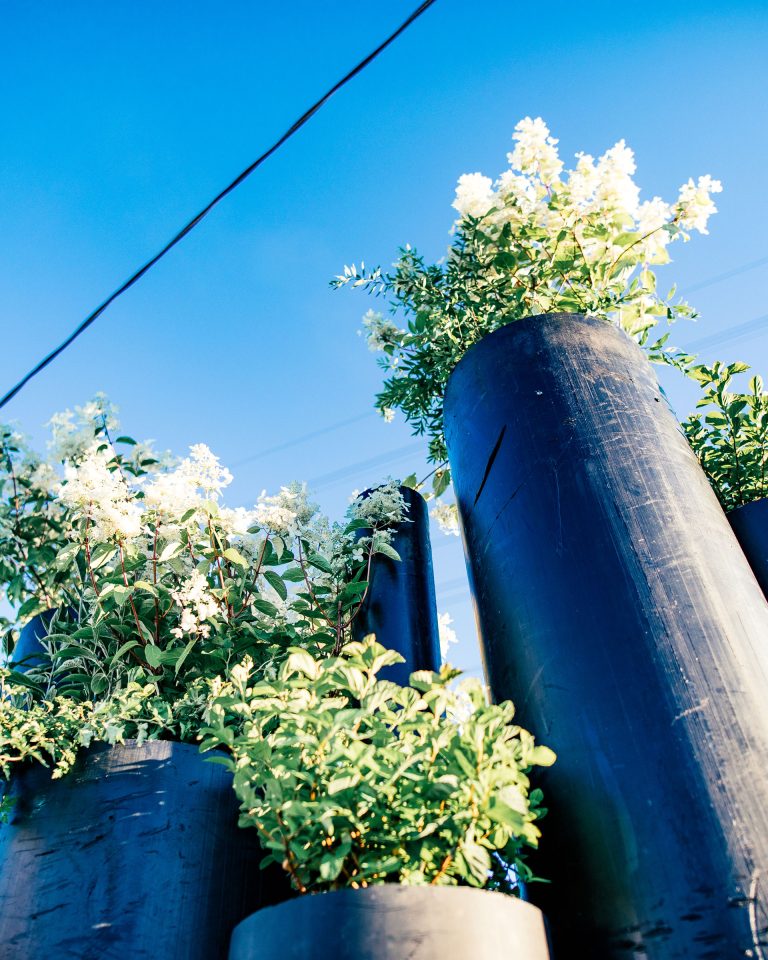sustainableflow_web_portrait_1920x2400
