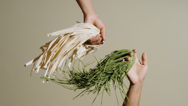 Noodle Story