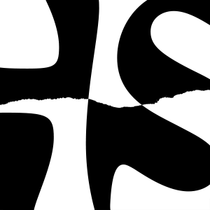 HSxFLOW-600x600-1.png